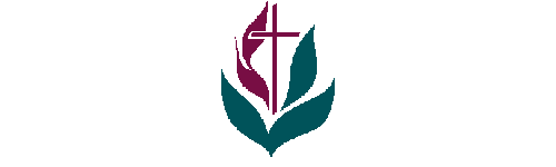 Texas Methodist Foundation logo