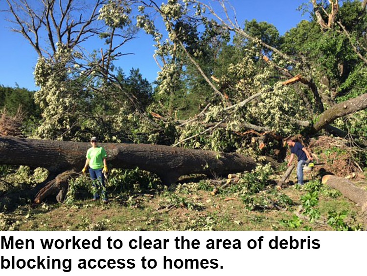 Cutting downed trees